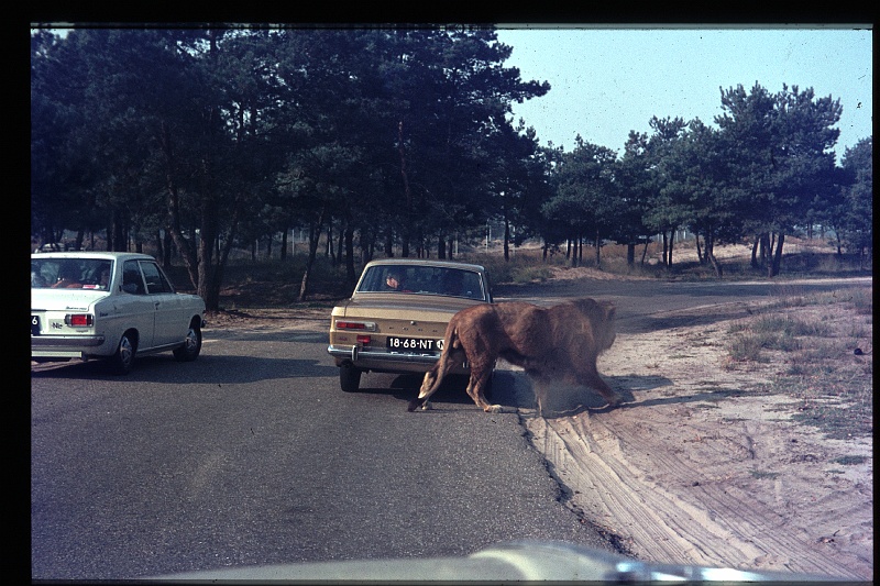11.Beeksebergen sep 1972.JPG